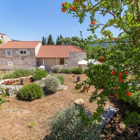 Olive Garden Apartment Ston Exterior foto