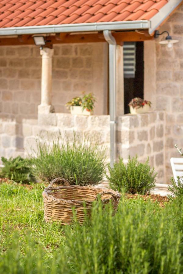 Olive Garden Apartment Ston Exterior foto